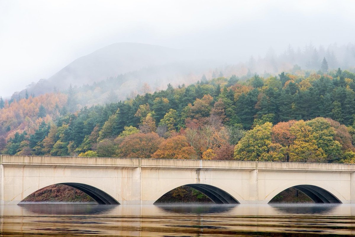 Visit Peak District & Derbyshire (@vpdd) on Twitter photo Misty magnificence at Ladybower Reservoir 😍🧡 Who would YOU love to enjoy these stunning views with? 🍁👇
👉 Plan your break at visitpeakdistrict.com
📸 <a href="/psprosonphoto/">Phil Sproson Photography</a> Misty magnificence at Ladybower Reservoir 😍🧡 Who would YOU love to enjoy these stunning views with? 🍁👇
👉 Plan your break at visitpeakdistrict.com
📸 <a href="/psprosonphoto/">Phil Sproson Photography</a>