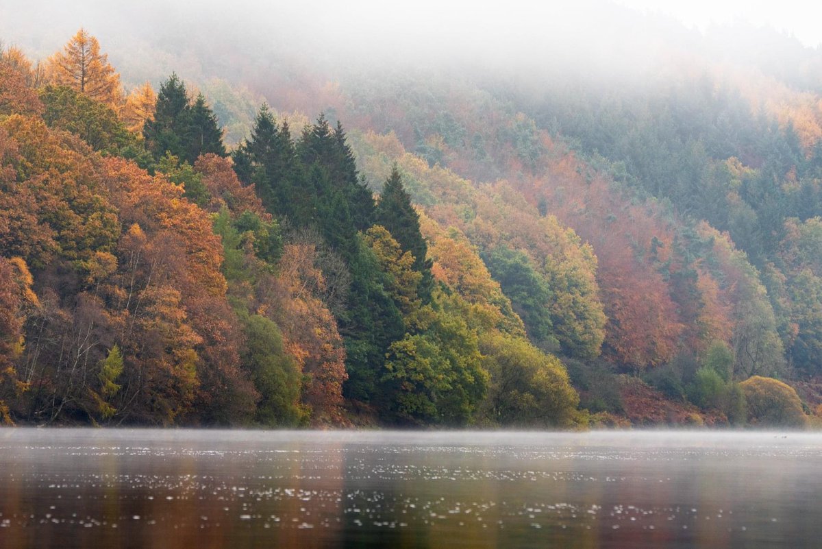vpdd's tweet photo. Misty magnificence at Ladybower Reservoir 😍🧡 Who would YOU love to enjoy these stunning views with? 🍁👇

👉 Plan your break at https://t.co/y6ATpkWBZU
📸 @psprosonphoto https://t.co/bIvzsOC1Bc