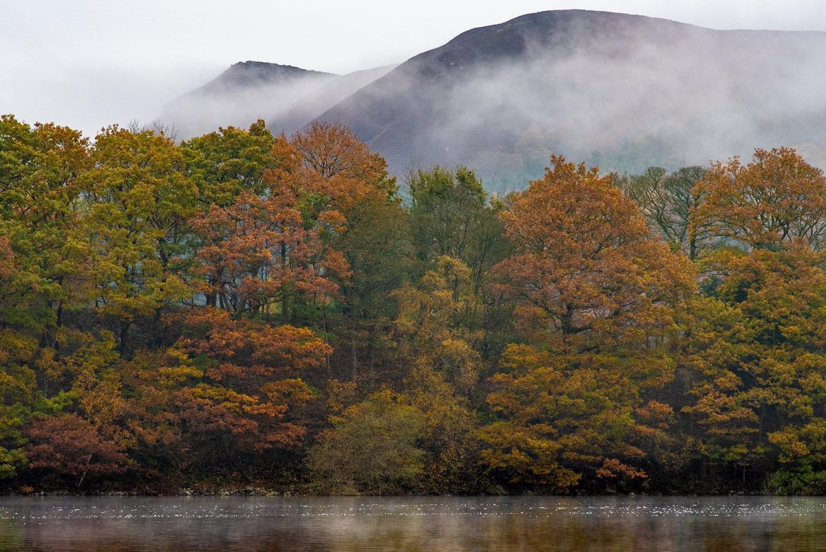 vpdd's tweet photo. Misty magnificence at Ladybower Reservoir 😍🧡 Who would YOU love to enjoy these stunning views with? 🍁👇

👉 Plan your break at https://t.co/y6ATpkWBZU
📸 @psprosonphoto https://t.co/bIvzsOC1Bc