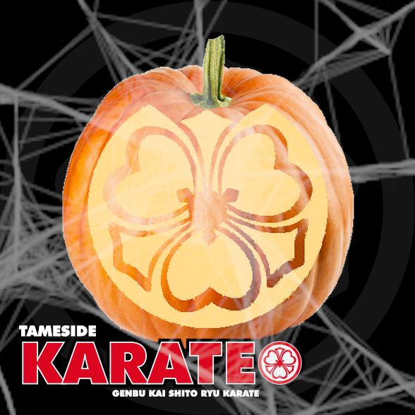 Tameside_Karate's tweet photo. As COVID has meant birthdays, anniversaries, and parties have been cancelled we are doing something a little different for Halloween.

The Friday evening and Saturday Dragons classes are going to be Halloween fancy dress!

All we ask is for a small charity donation (charity TBC). https://t.co/sr3Eg12Nmh