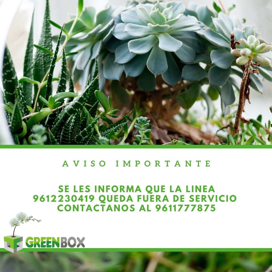 GreenBox_mx's tweet photo. https://t.co/yEPTAmXXlo