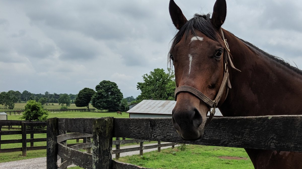 Extra, extra! Read all about what's happening this fall at the Fayette County Kentucky Conservation District!   drive.google.com/file/d/1bvJTip…   <a href="/KACDconserve/">Kentucky Association of Conservation Districts</a> #districtsatwork