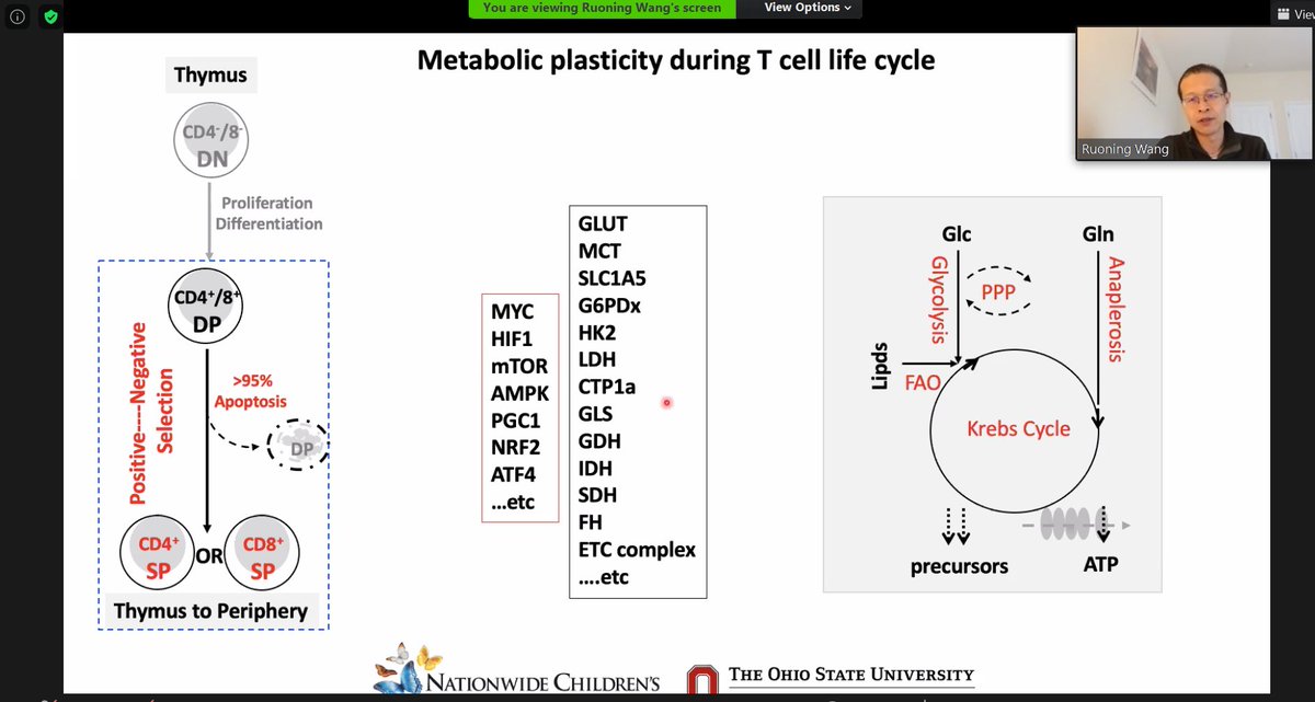 Daniel Wahl tweet media