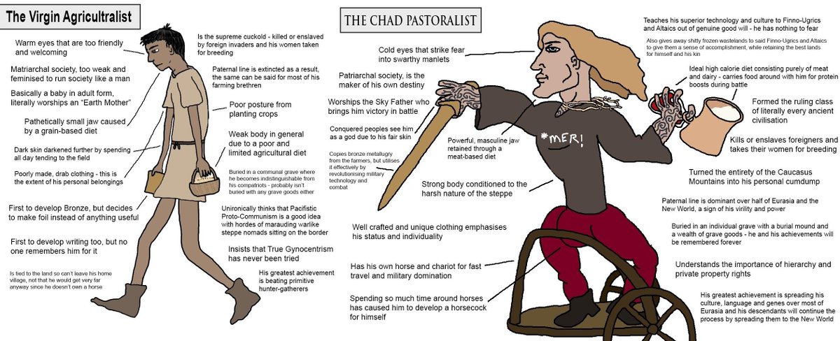 There is ample evidence that development of civilisation can be understood as self-domestication of humans. The same shift that was imposed onto domestic animals by humans was also imposed onto themselves – to a lesser degree (often with a warrior elite that retained wild type).