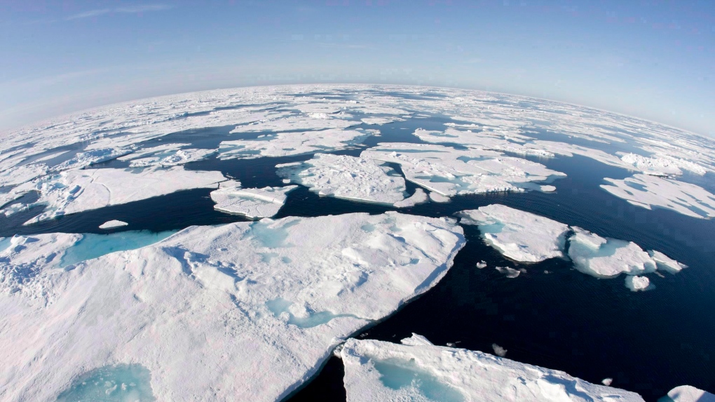 OilTerra's tweet photo. This is the type of environment where Atlantic harp seals live. This is the type of seal used in the manufacture of Terra Nova Omega-3 Seal Oil. Specifically they live in arctic region around Newfoundland and the St. Lawrence River. They migrate further North in the summer. https://t.co/TYn93dISZI