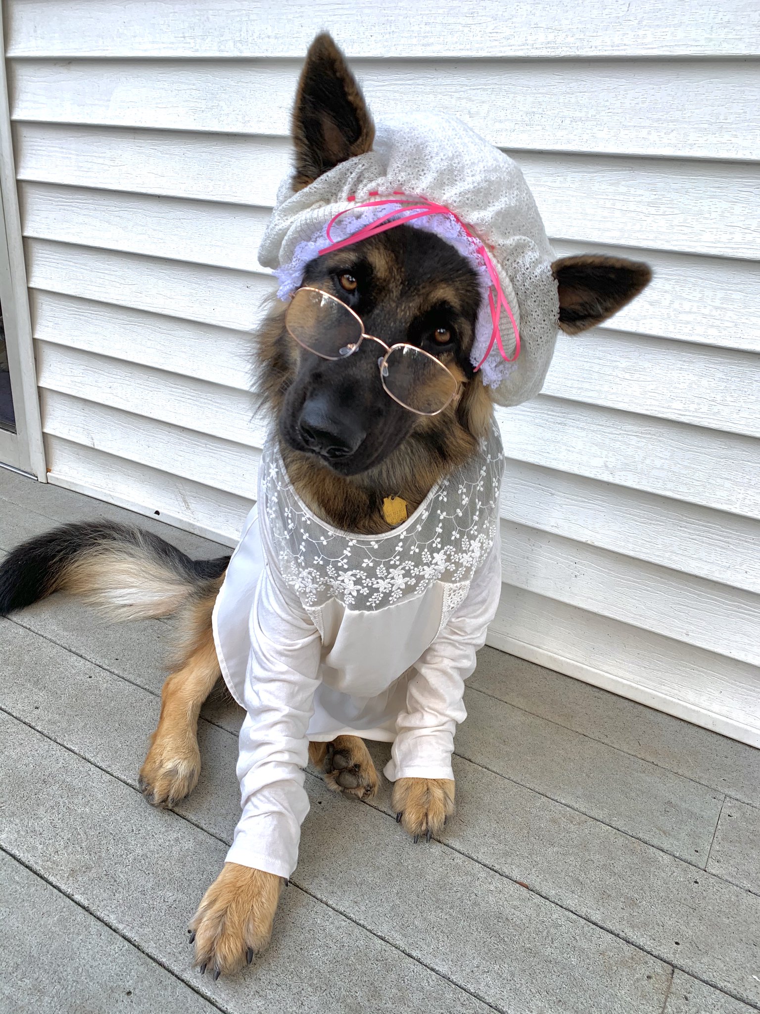 Big Bad Wolf Dog Costume