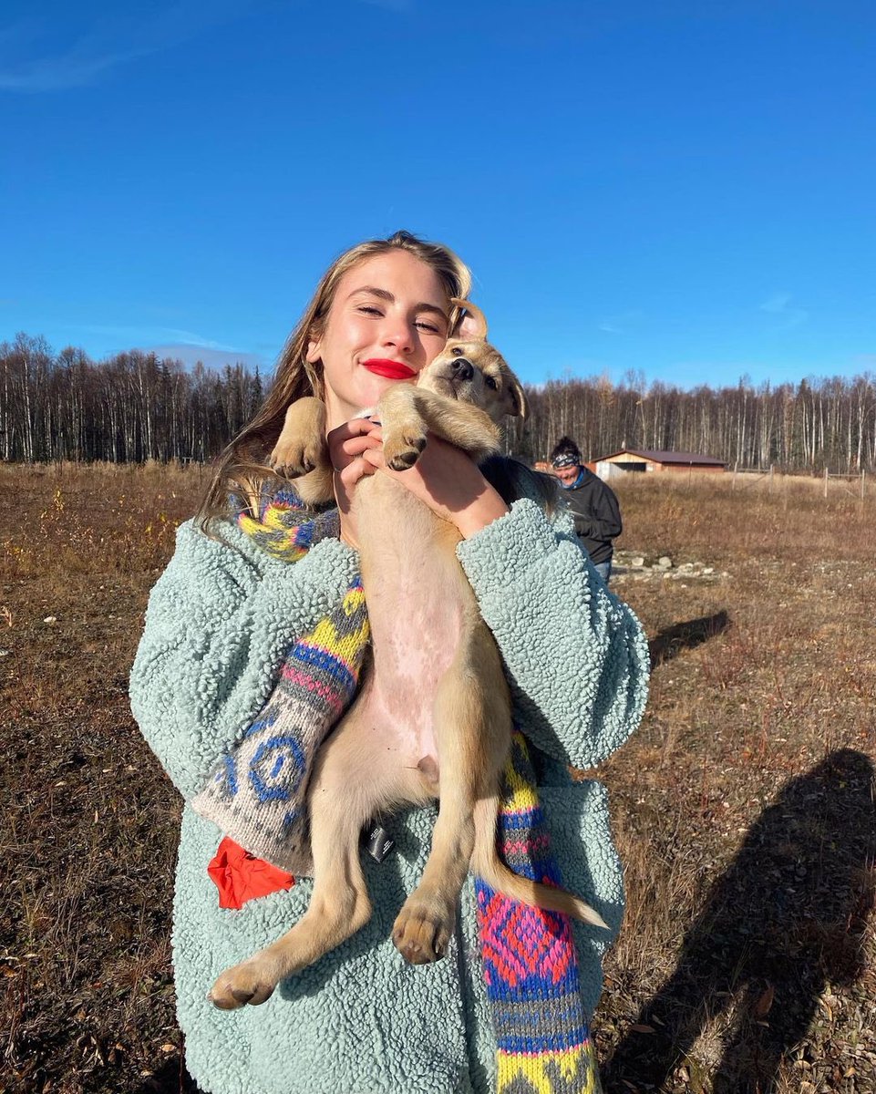 divineyulianna's tweet photo. I went dog sledding for the first time today 🥺 https://t.co/szufSJcoD9