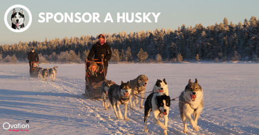 OvationDMC's tweet photo. Ovation Finland DMC wants to take care of its partners. With limited numbers of international travelers coming to Lapland, our huskies need your help! 🐺

Sponsor or adopt a husky now 🤚 - Follow this link: https://t.co/ImvW2ZnlkA
⭕️ Ovation Finland DMC: https://t.co/dRhg5dwL61 https://t.co/vL3VwEpwS2