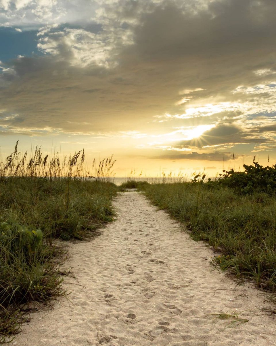 “Life is either a daring adventure or nothing at all.“ #beachlifemindset #findyourpeace 
photo: @l.n.creations
#veniceflorida