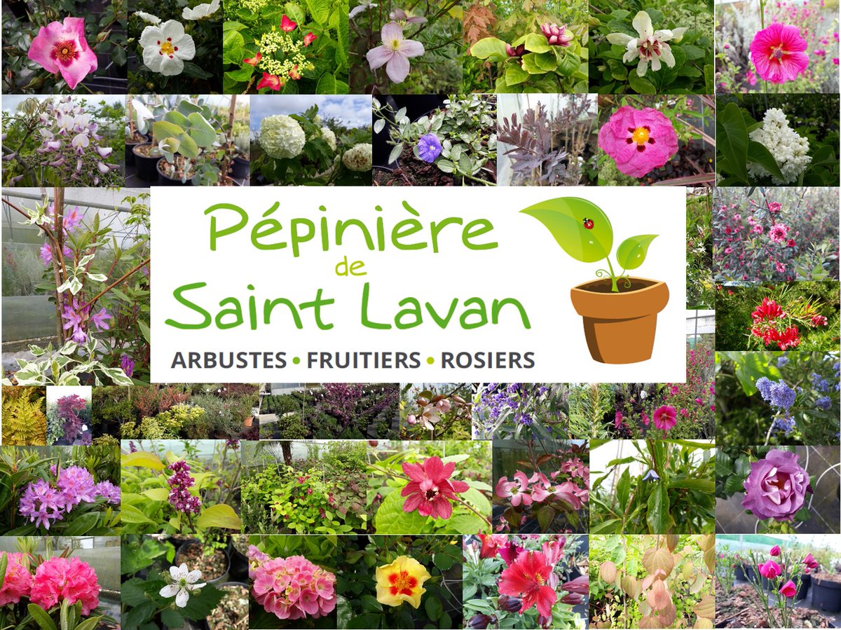 Pierre-Yves GENTRIC (@yves_gentric) on Twitter photo 