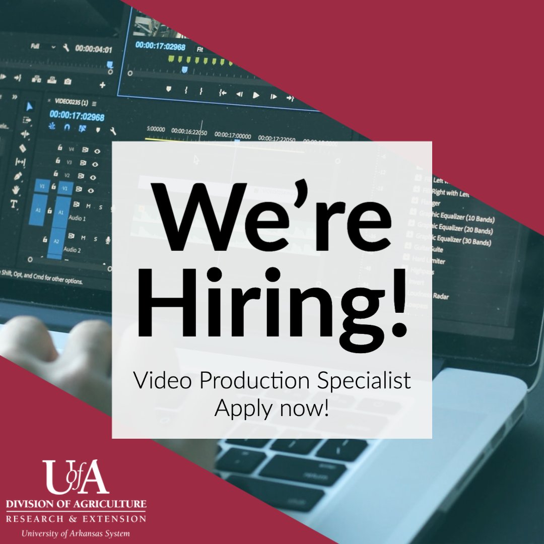 We’re hiring a new video production specialist in Fayetteville! Now accepting applications here: uasys.wd5.myworkdayjobs.com/en-US/UASYS/jo….

#Arkansas #jobs #media #video