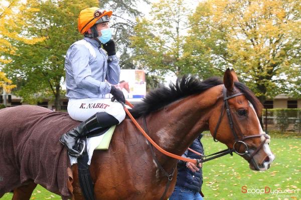 davidcottin's tweet photo. π§‘PICCADILLY LILLYπ§‘ shows her rightful colours as she made all in Prix Catelan @Hippo_Auteuil to win on her first real outing, this well bred daughter of Authorized drew clear to win by 4 lengths! Huge congrats to owner/breeder Mr&Mrs Kelvin-Hughes and @uptonviva! #Finefilly https://t.co/9gYVwmkALk
