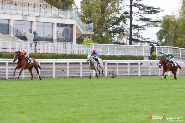 davidcottin's tweet photo. π§‘PICCADILLY LILLYπ§‘ shows her rightful colours as she made all in Prix Catelan @Hippo_Auteuil to win on her first real outing, this well bred daughter of Authorized drew clear to win by 4 lengths! Huge congrats to owner/breeder Mr&Mrs Kelvin-Hughes and @uptonviva! #Finefilly https://t.co/9gYVwmkALk