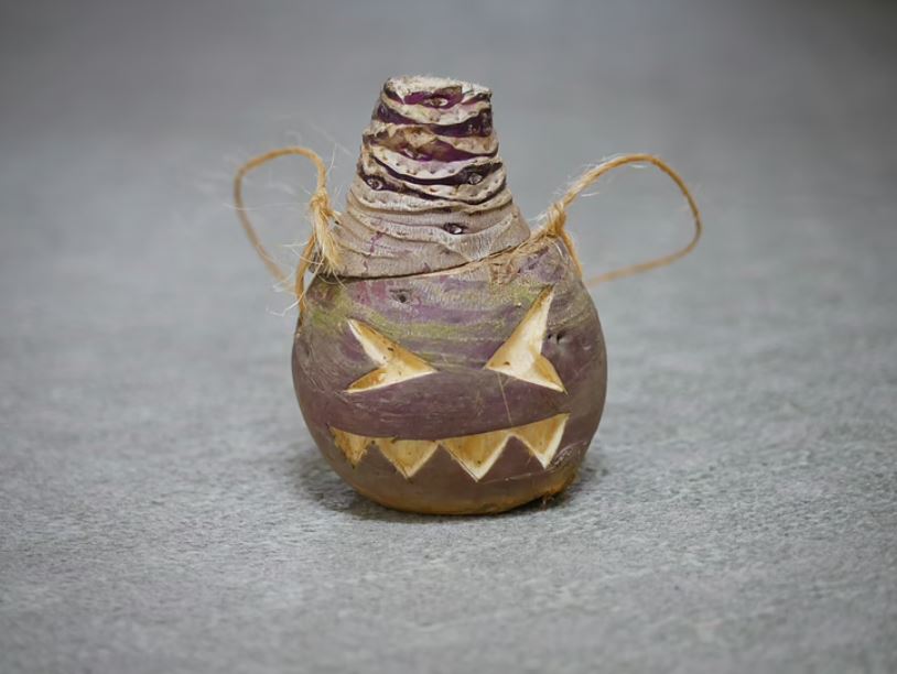 World History Encyclopedia tweet media