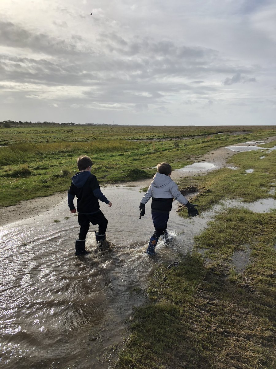 daveliverbirder's tweet photo. An enjoyable visit to Marshside with the kids. 5+ Cattle Egret, ringtail Hen Harrier, Marsh Harrier, Merlin, Woodcock which nearly took our heads off, plus stacks of close Geese, Ducks and Waders. Slight bit of #patchenvy to be honest, really enjoyable #birding https://t.co/47HpTtuLmW
