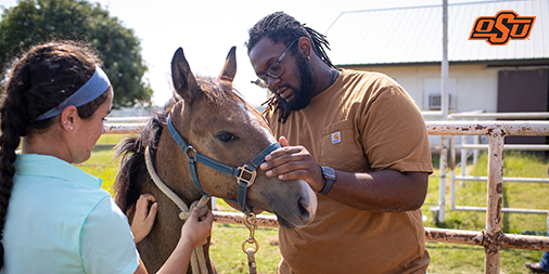 okstateferguson's tweet photo. Just like FFA, we believe in the idea of learning to do and doing to learn. We strive to provide a hands-on education and well-rounded experience for each of our students through experience in classrooms, labs and animal facilities. #FFA20

Learn more ➡️ https://t.co/RzwNRhfAJh https://t.co/ThalKwMVX2