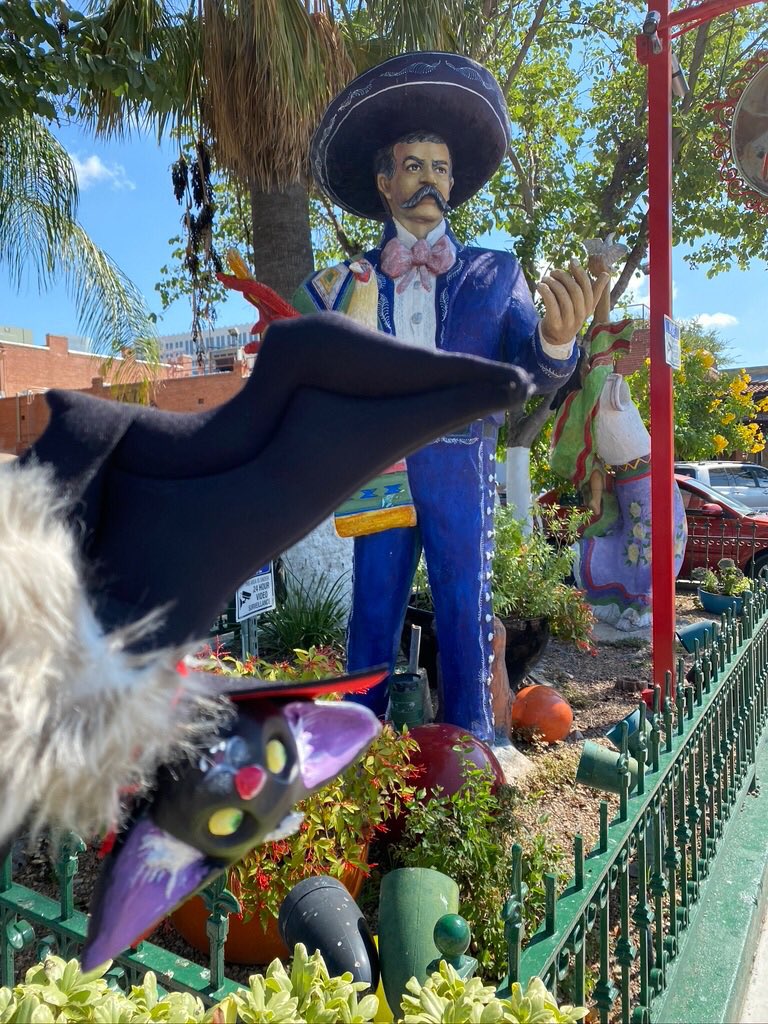 BatholomewBDT's tweet photo. Bat does El Mercado--bat loves to shop! 
#batdoesthat #batober #batdoesday28 #3daysuntilhalloween #batdoessat #militarycityusa #sanatonio #batcantwait #elmercado https://t.co/8Mj6p39hEX