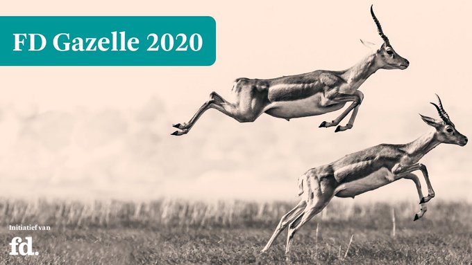 dutch_travel's tweet photo. De titel FD Gazelle wordt uitgereikt als beloning voor een bovengemiddelde groei 
@TeamNM2D
@SolarfieldsNL
@sd_im
@AMRict
@Tredion 
@DifferIT
@accentint gefeliciteerd met jullie nominatie ;) 
@casperbakker
@picqer
@VertigoSix well done
@atevandermeer
@FourTOP_ICT 
@GroenOpgewekt https://t.co/iKcMdUDyPD
