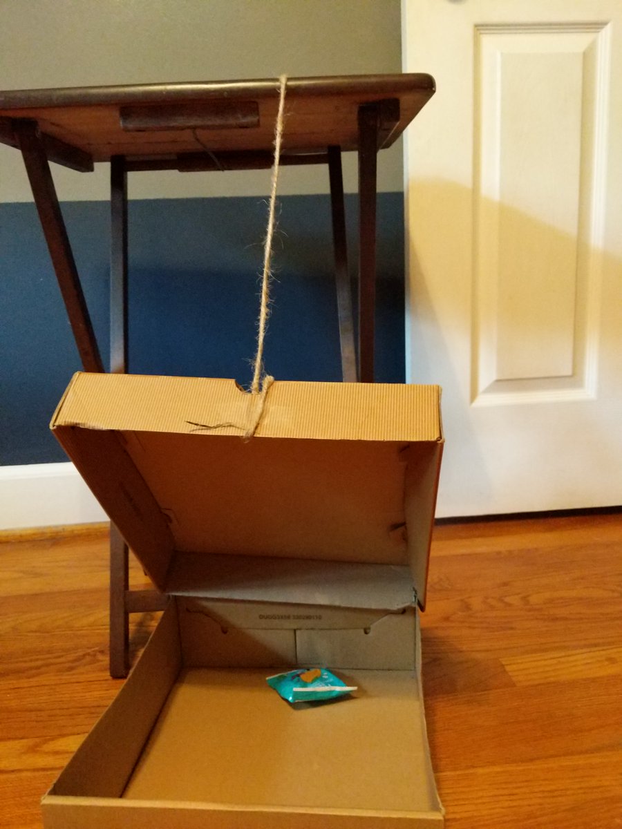 k_turned_middle's tweet photo. I had a spur of the moment decision over the weekend: Halloween-themed STEM challenge this week! We read "How to Catch a Monster" and created a monster trap to explore. I fell in love with the results. 

@BrentwoodMESE #STEM #engineers #Halloween #kindergarten #kindergartenSTEM https://t.co/SYzKb8IF9K