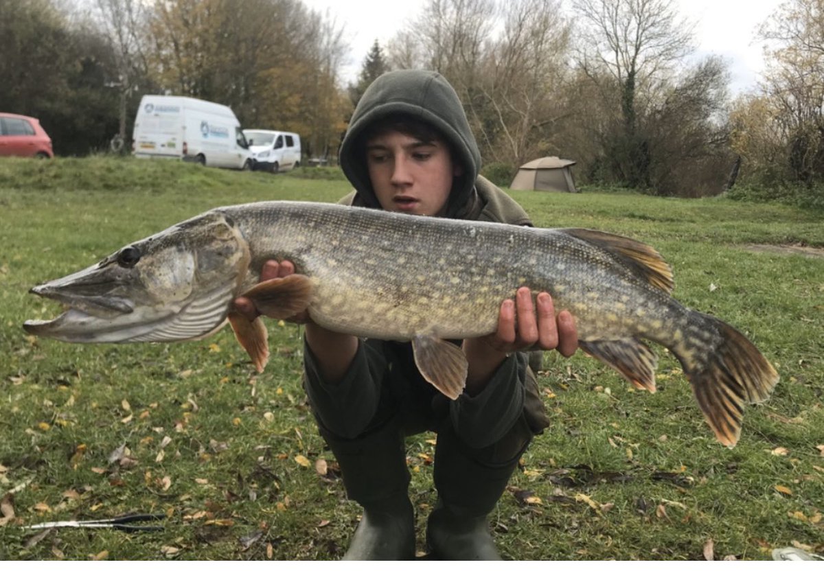 Flynscotsman_T's tweet photo. Stunning Pike, caught using our traces. #FlynscotsmanTackle #Flynscotsman #PikeTraces #Pike #MonsterPike #PikeLures #Traces #WireTraces #PikeFishing #Fishing https://t.co/reggfKoj3P