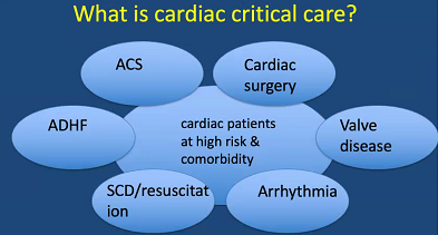 Going on now:  #criticalcarecardiology leaders meeting w@ACCinTouch about future collaborations & development

Thank you for this robust discussion @sandylewis @mhargrett 

@DrRobRoswell @SMHollenberg @ShashankSinhaMD @criticalecho @carlosalviar Drs. Solomon, Morrow, Jentzer, etc