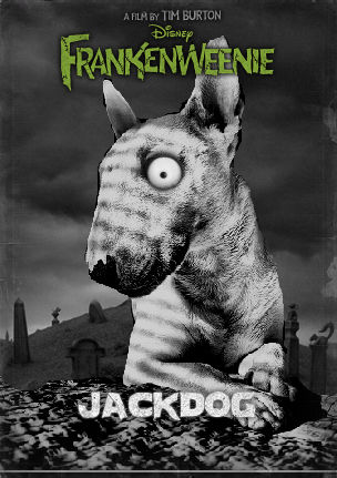 sara_bethell's tweet photo. It's that time again! #Halloween2020 Let's do a #Jackdog #Halloween countdown! Up first: #frankenweenie! https://t.co/nz4L2MEXPa