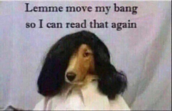 Astead on Twitter: "https://t.co/gQrsy0xPry" / Twitter