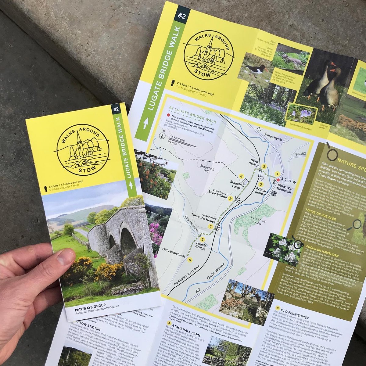 pmgd_'s tweet photo. Exciting to receive printed samples today of The Lugate Bridge Walk leaflet, the second in a series of trail leaflets designed by pmgd for #WalksAroundStow.
.
#pmgd #Stow #LugateBridgeWalk #printedsamples https://t.co/Hprl77diC7