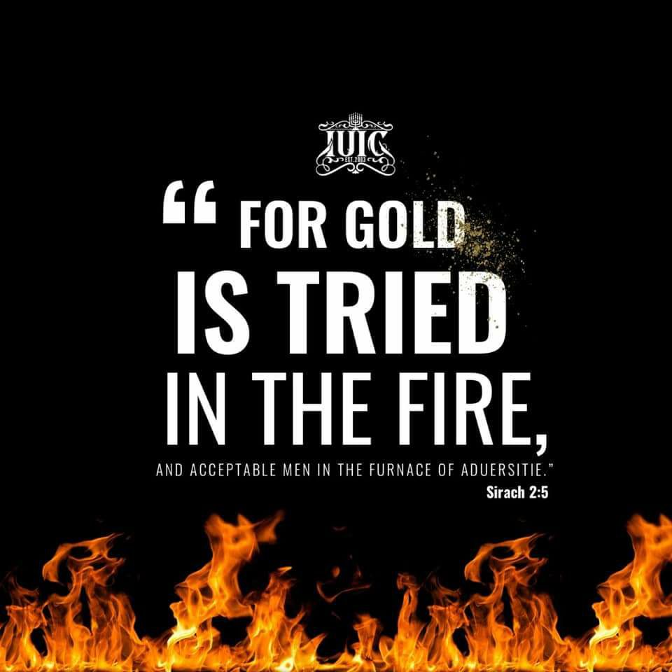 #Ecclesiasticus2:5 For gold is tried in the fire, and acceptable men in the furnace of adversity. #BibleVisuals #BibleImagery #DailyBread #IUIC #Bible #Scripture
#southeastsd #loganheightscdc
#loganheights #chicanopark
#barriologan #chulavista
#nickcannon #reggiebush #faizonlove https://t.co/cJVAsYI4Zx