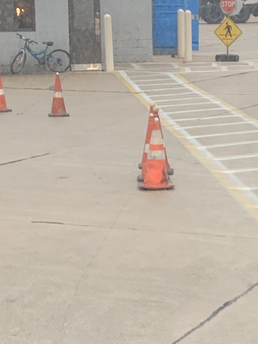 Mike Hoff (@upssafetyguy74) on Twitter photo Tail swing demo, Liberty Division style!! Thanks to the committee,safety team, led by Jessica Lees and Barb Rucker!! Shout out to Paul DiFranceisco from our Liberty Mutual team helping with this!! <a href="/joesavageups/">Joe Savage</a> Tail swing demo, Liberty Division style!! Thanks to the committee,safety team, led by Jessica Lees and Barb Rucker!! Shout out to Paul DiFranceisco from our Liberty Mutual team helping with this!! <a href="/joesavageups/">Joe Savage</a>