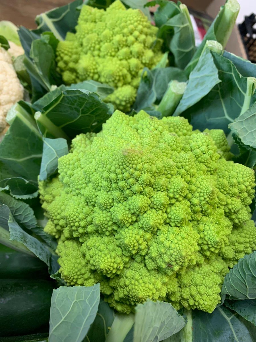 More gorgeous seasonal veg available in the Farm Shop this week 🧡 <a href="/JURASSICMEATS/">JURASSIC COAST FARM SHOP</a>