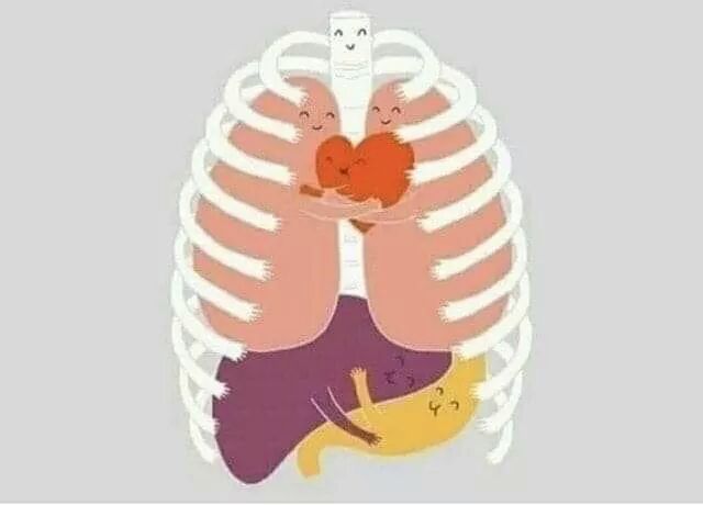 hadeel_bio's tweet photo. #استثناء_الصحه_والعلوم_مطلبنا https://t.co/hoWBe2L057