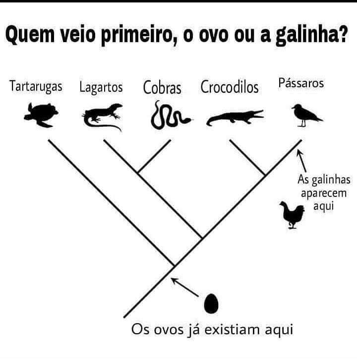velhodruida's tweet photo. https://t.co/4R4R3vVSfi
