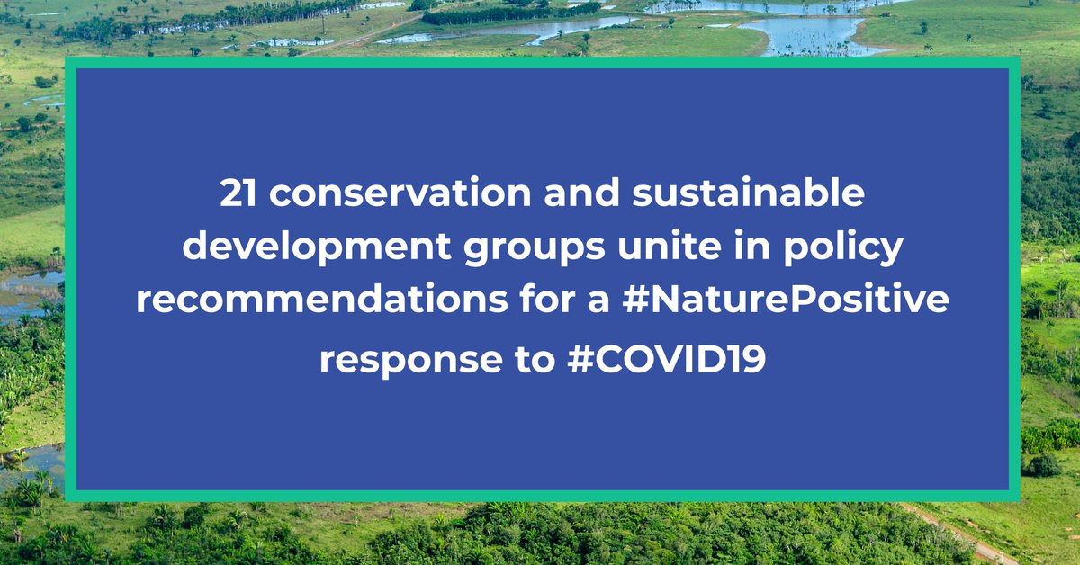 #COVID19 highlights the critical connection between the health of nature and the health of humans. These connections must be better reflected in our priorities, policies and actions. #NaturePositive #CampaignForNature @UNBiodiversity tinyurl.com/y4mlj7gf
