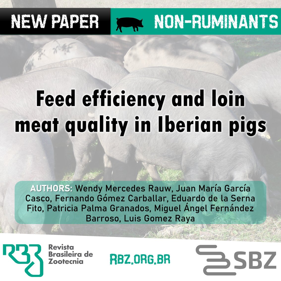 rbz_bjas's tweet photo. #Feed #efficiency and loin #meatquality in #Iberian #pigs

https://t.co/a94j2d6jSn

https://t.co/G8nL7vdUN1

#RBZ #NonRuminants https://t.co/GxTu1n6HZF