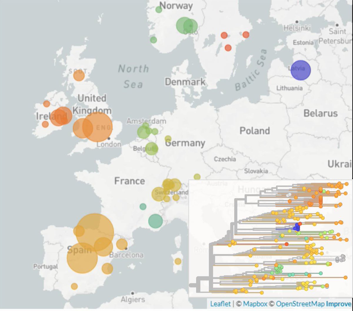 The spread of 20A.EU1 shows how a series of failures in  #SARSCoV2 measures likely led to its dominance: high prevalence in Spain, ineffective travel screening/quarantine, & insufficient control of transmission of variants brought back to 'home' countries.12/16