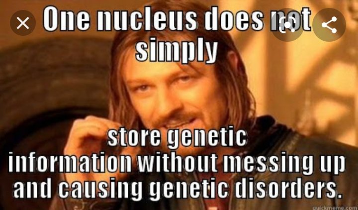 2020Chromosome's tweet photo. @nucleus2020prez https://t.co/Rw3LotKClP