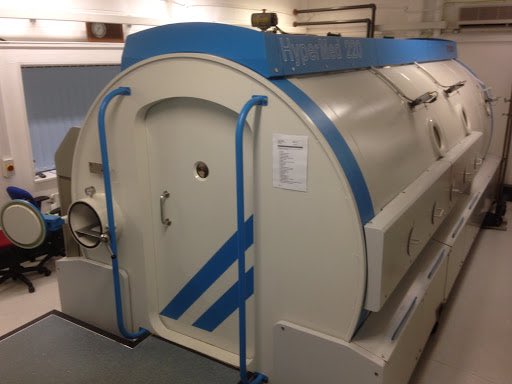 Parrottfish SCUBA tweet media