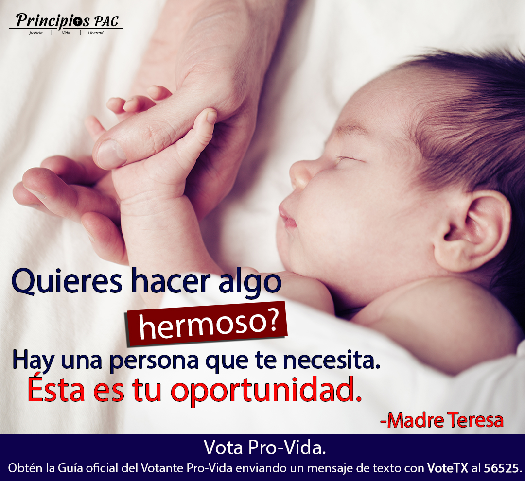 PrincipiosPAC's tweet photo. https://t.co/KUmffVCqOf https://t.co/N9iP9lakZ7
