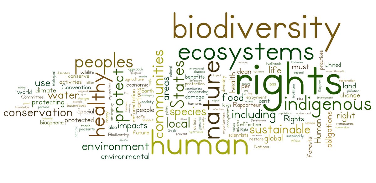 Extremely stimulating dialogue as @SRenvironment presents report on #HumanRight to HealthyEcosystems
➡️need for #IndigenousPeoples & local communities' rights to be @ core of policies related 2 ecosystems
📺join here: https://t.co/JNNATCJLo2
📄report here: https://t.co/0GnmhpMlT3 https://t.co/W5tUMMiZ19