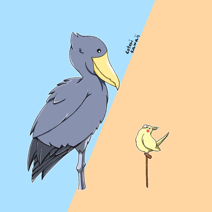 ハシビロコウ 高画質 のtwitterイラスト検索結果 古い順