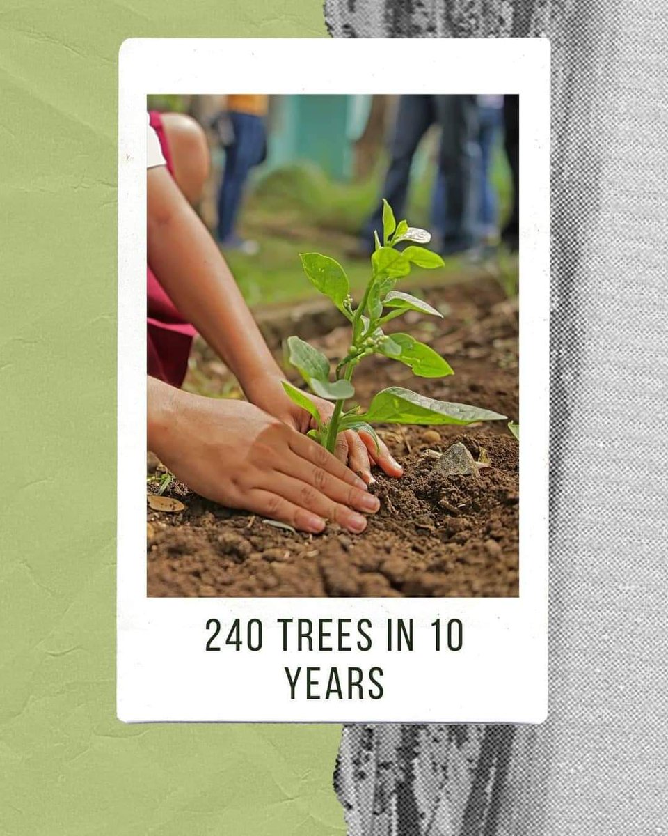 We Have Supported The @oblongtreesoffset Initiative Pledging To Plant 240 Trees Over The Next 10 Years On Our Behalf

oblongtrees.com

#thehungryplaice #vintagefishandchipvanhire #fishandchipvanhire #corporateeventcatering #weddingfishandchips #weddingcatering