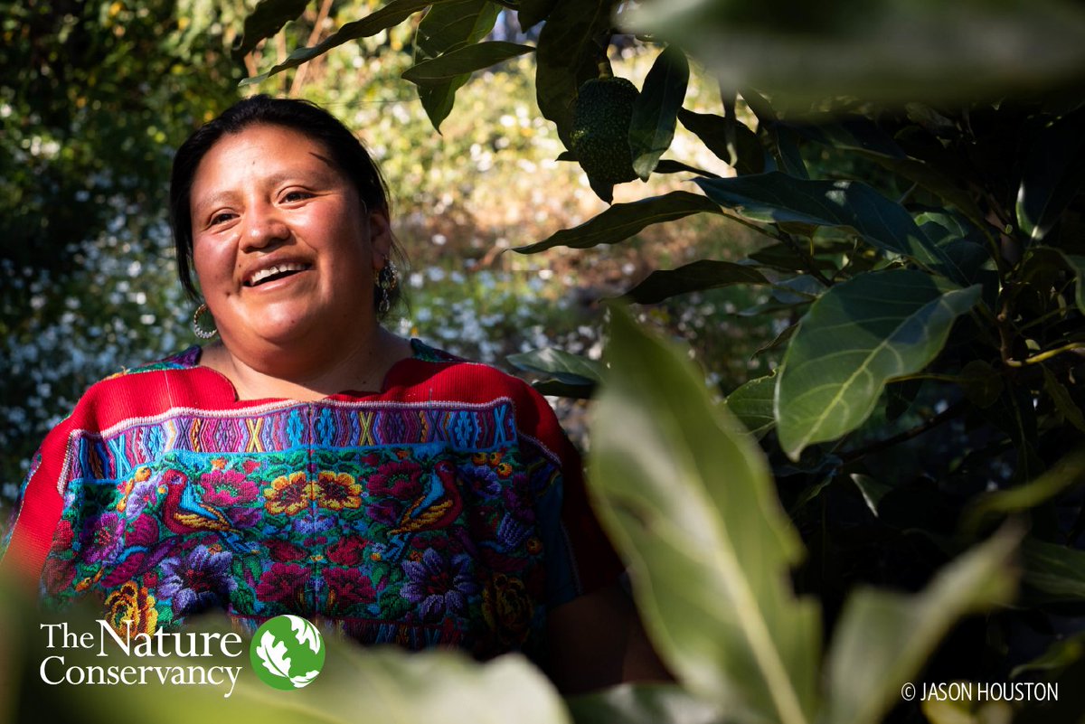 nature_org's tweet photo. "COVID-19 highlights the critical connection between nature's health &amp; human health...this connection needs to be better reflected in our priorities &amp; policies." 

21 organizations endorse 5-part recovery approach ahead of 10/29 @IPBES #PandemicsReport:
https://t.co/TeAtKawoiQ https://t.co/I8a0hd1CD1