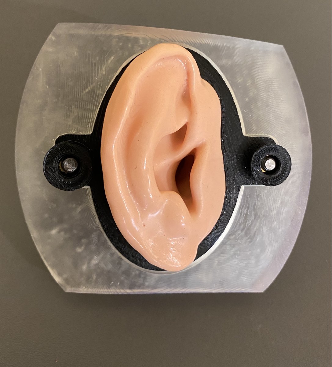AHeadSim's tweet photo. CARL UPDATE SNEAK PEEK: Our design team has been working hard to create snap-fit ears for CARL! An addition we hope to introduce soon so that using CARL is as easy and efficient as possible #AHeadSim #AuDpeeps https://t.co/ynRDnLZPOb