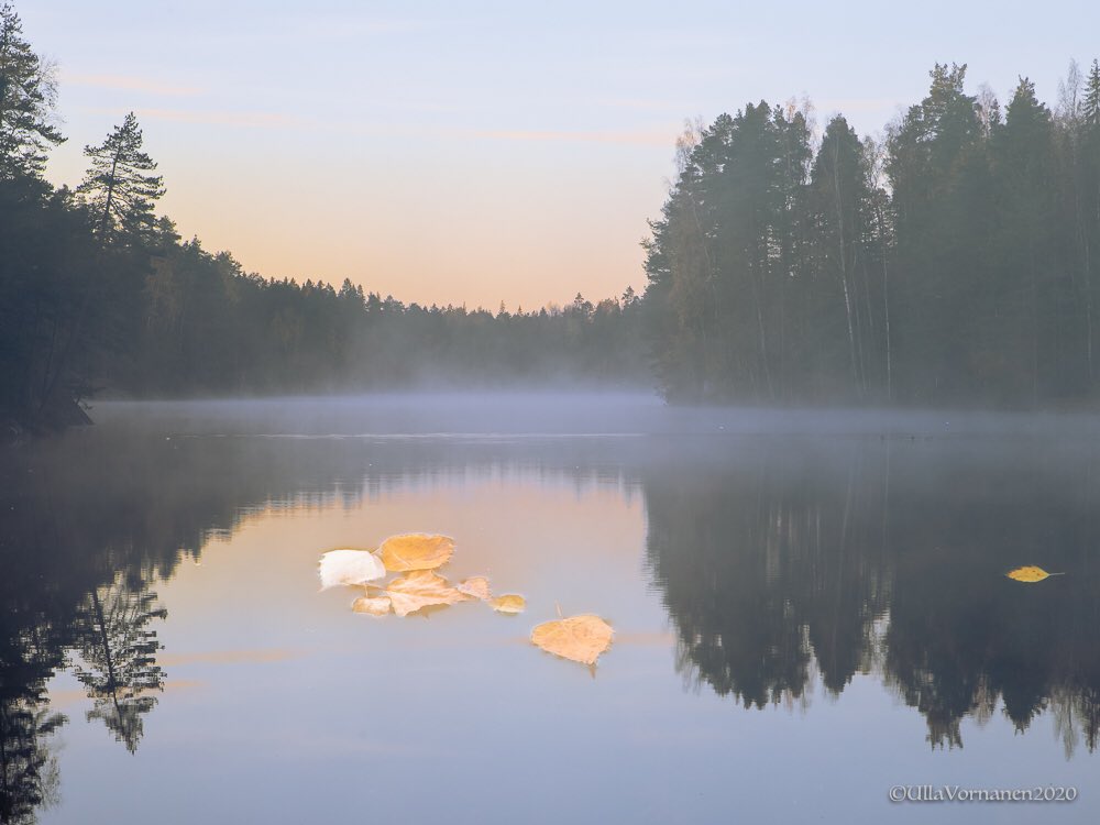 UVornanen's tweet photo. Morning at the pond 🍂

Ruskalehtiä lammella 🍂

#ruska #lampi #syksy #luonto #maisema #kameraleikit #fallcolors #pond #autumn #nature #landscape #creativecamera #Espoo #Finland https://t.co/bkDW3tltMO