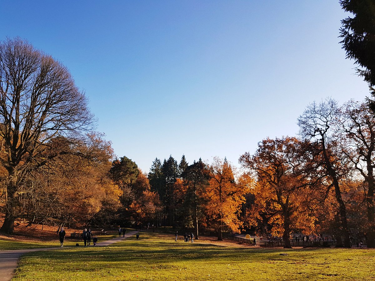BrumLeader's tweet photo. Have your say on the Birmingham Parks Survey 2020. The survey is carried out every two years to find out satisfaction levels with local parks and what improvements park users would like to see: https://t.co/KuxrHPm0JF https://t.co/VGtJwYp4k2
