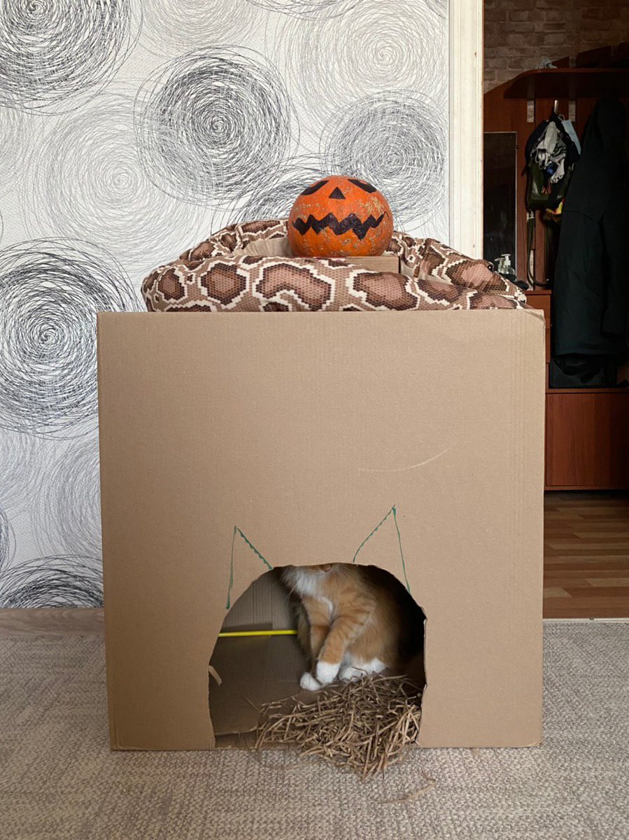 kalabro's tweet photo. Alright, it's Day 3 of @systemseed #SeedCon hackathon. Time to show our MVP...

🎃😻🎃 https://t.co/Bti2ZsV9gN