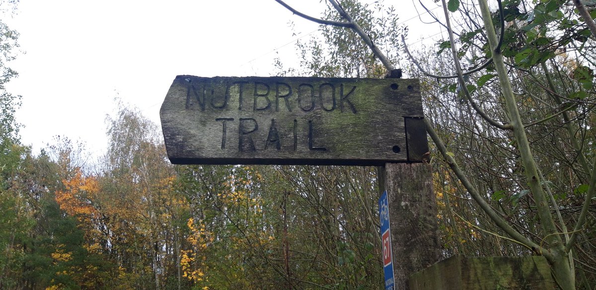 DerbysRPUBikers's tweet photo. Been out off the "beaten track" this afternoon on the #nutbrook trail after reports of ASB involving motorbikes off road. Struggle to get a traffic car down here. Bikes in their element here. https://t.co/wy1HAgIhIU