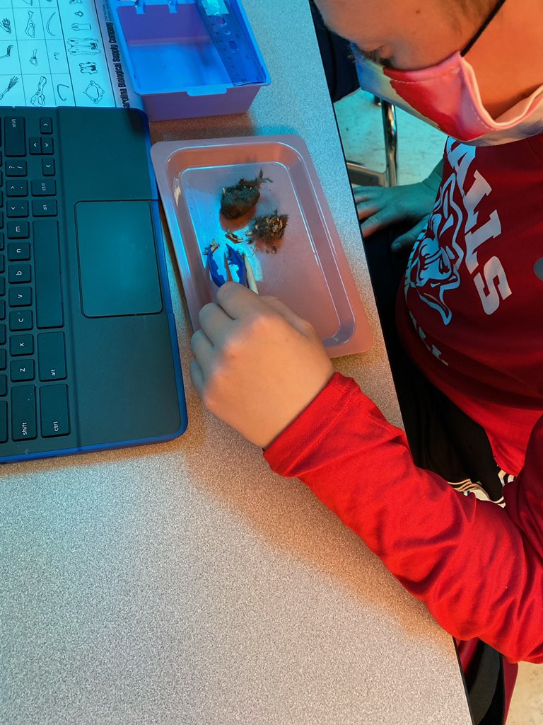 Jessica112616's tweet photo. Who remembers dissecting owl pellets in 6th grade??? Science is fun!!! #HMSHasIt https://t.co/JUciOLzhUG