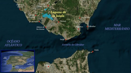 amigoslajanda's tweet photo. @mitecogob @Teresaribera La Recuperación y Restauración de las lagunas de La Janda es una GRAN OPORTUNIDAD para contribuir a la conectividad de ecosistemas y la conservación de muchas especies

Situación estratégica en las rutas migratorias
Hábitat de importancia
Fuente d biodiversidad

#RecuperaLaJanda https://t.co/1lUI9UgTdD